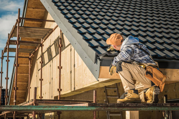 Best Sealant for Roof  in Holgate, OH