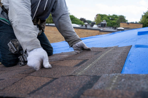 Quick and Trustworthy Emergency Roof Repair Services in Holgate, OH