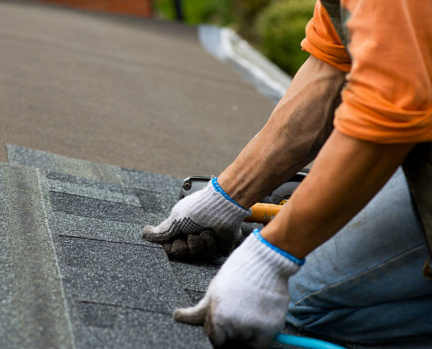 Best Gutter Installation and Roofing  in Holgate, OH