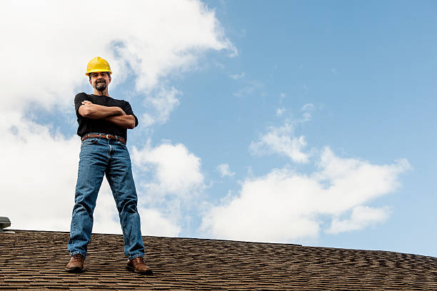 Best Roof Gutter Cleaning  in Holgate, OH